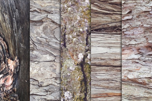 3 Tree Bark Textures Vol 2 x10 (1820)